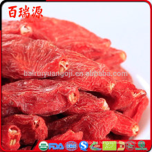 Dried goji berries benefits dried goji berries recipes goji berries side effects of steroids